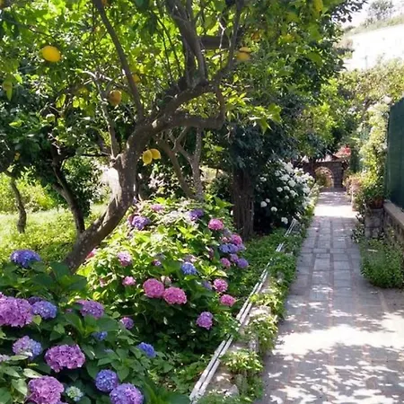 Casa Paolina - *